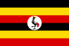 UGA Flag