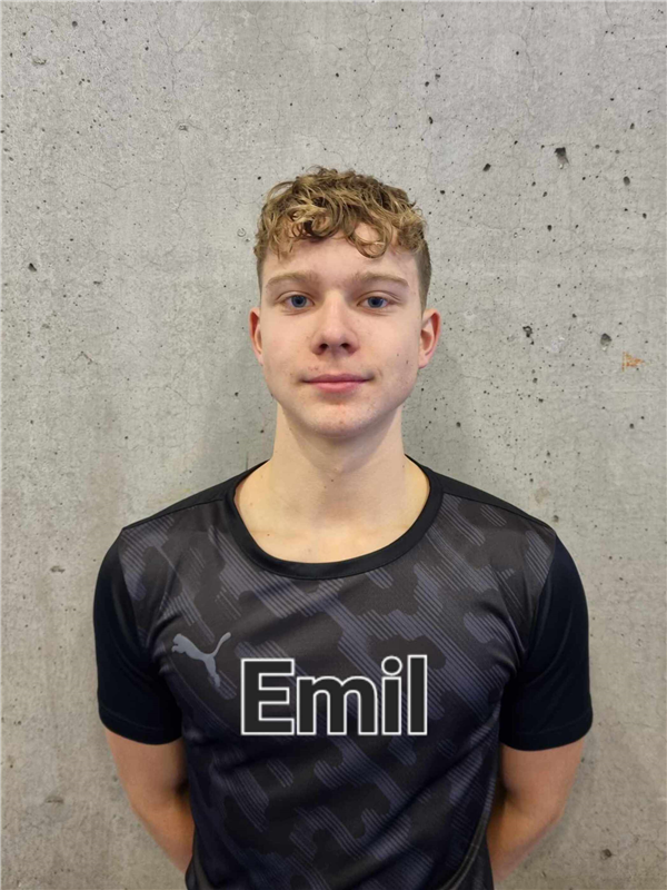 DIATLOVIC Emil Már