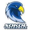 Logo for VB NIEDERÖSTERREICH Sokol/Post